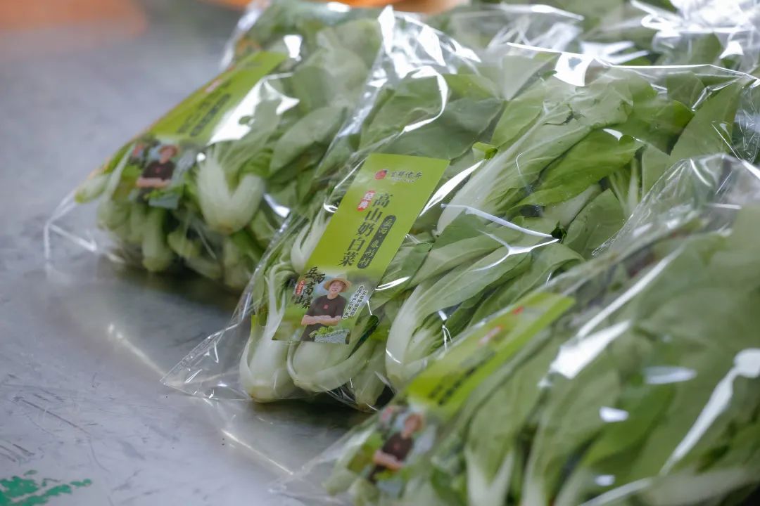 媒体看六安丨乡村振兴绘就新图景