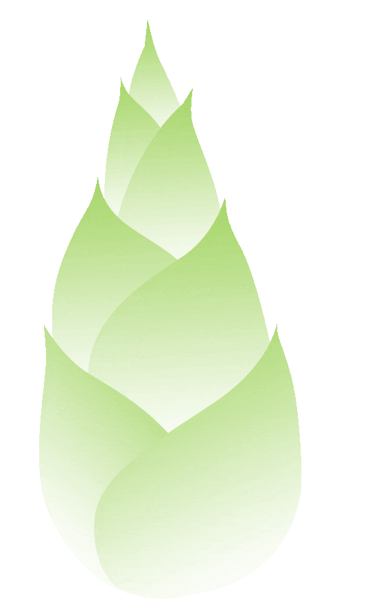 记者手札:成长与跃迁中的国投印记驱车经过大片油菜花地,一头钻进大山