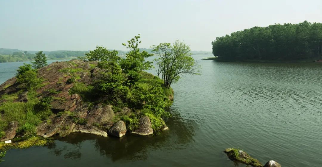 云梦涢水国家湿地公园图片