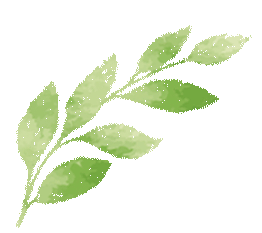 《蒙塔尤》作者:埃马纽埃尔·勒华拉杜里推荐人:杨