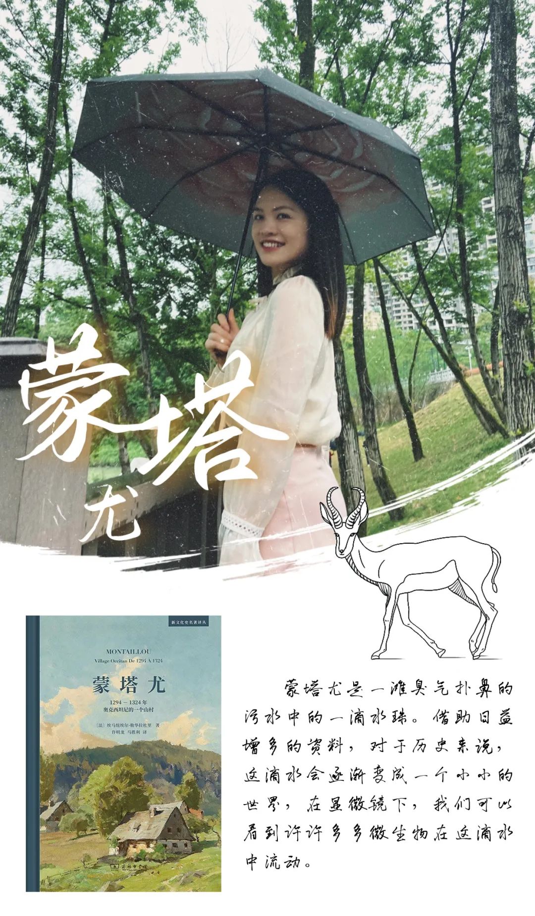 《蒙塔尤》作者:埃马纽埃尔·勒华拉杜里推荐人:杨