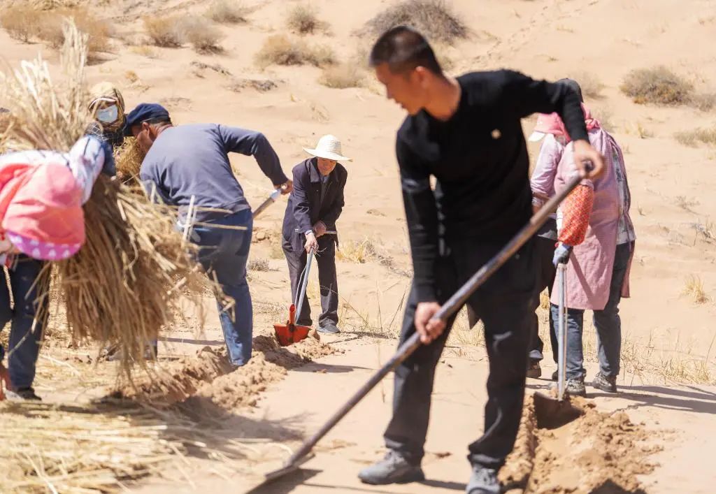 萤火·青春丨儿时沙海,如今花香扑面——八步沙第三代治沙人郭玺的治