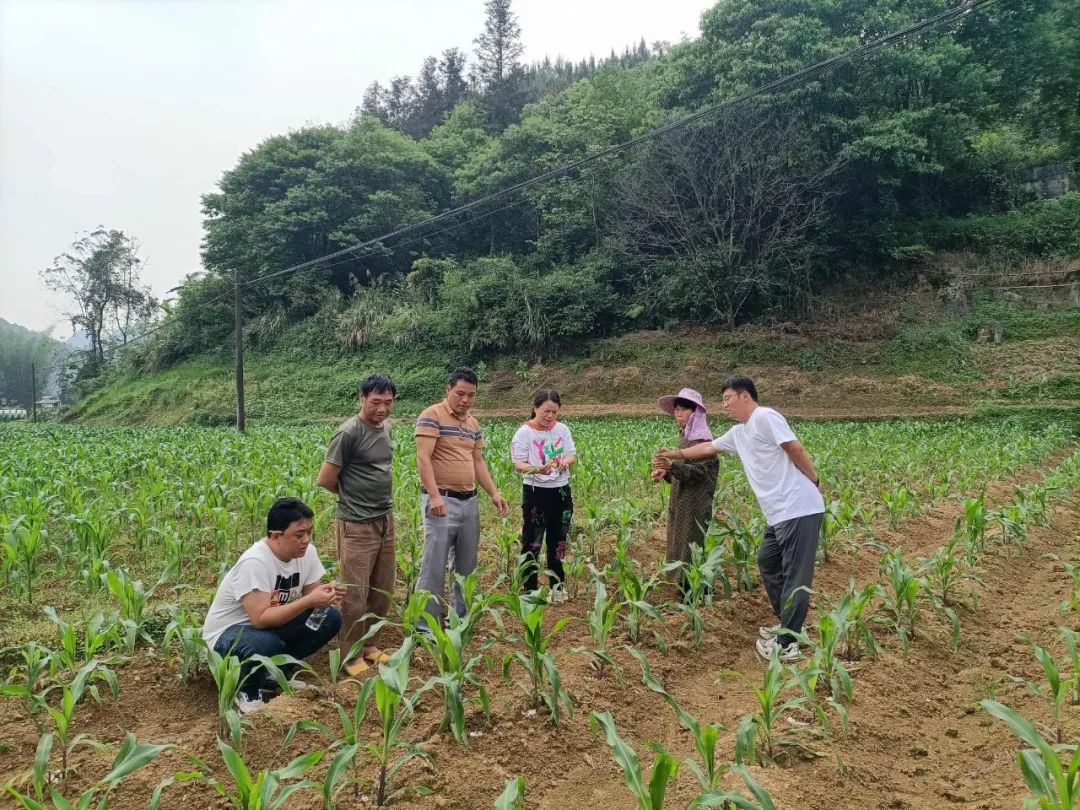 河池市金城江区科协举办2024年农村实用技术培训会