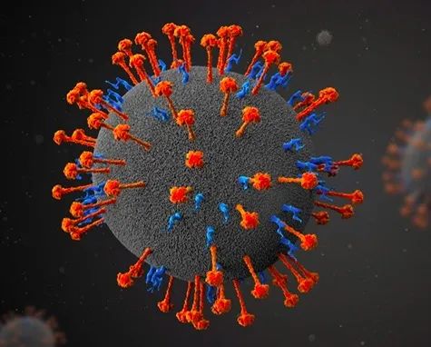 中国首例埃博拉病毒图片