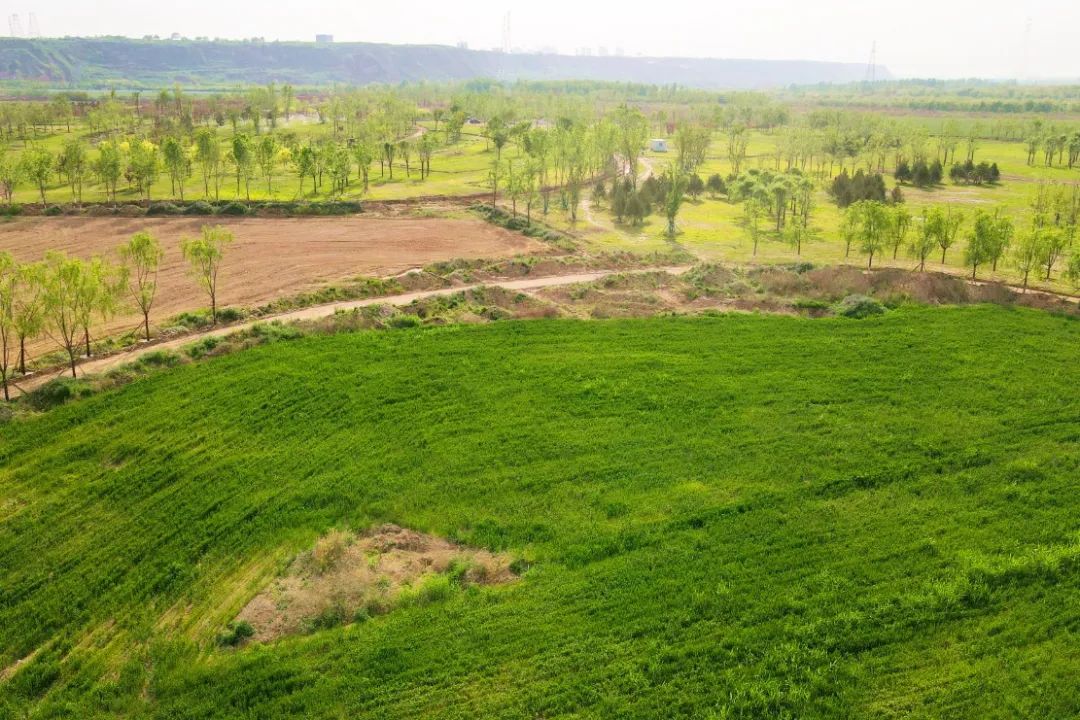 世界地球日 | 中铁四局建设者用行动守护美丽家园