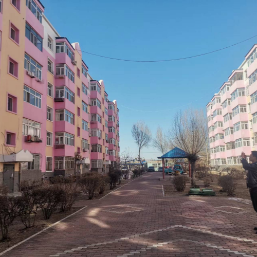 【基层动态】|大庆市大同区同福街道建筑"大体检" 安全"添保险"