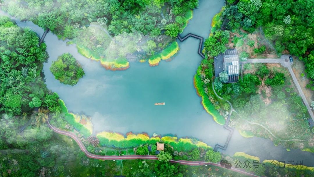 桤木河湿地公园蔓延在乡间田园和湿地林盘绿意在崇州的湿地与山林间