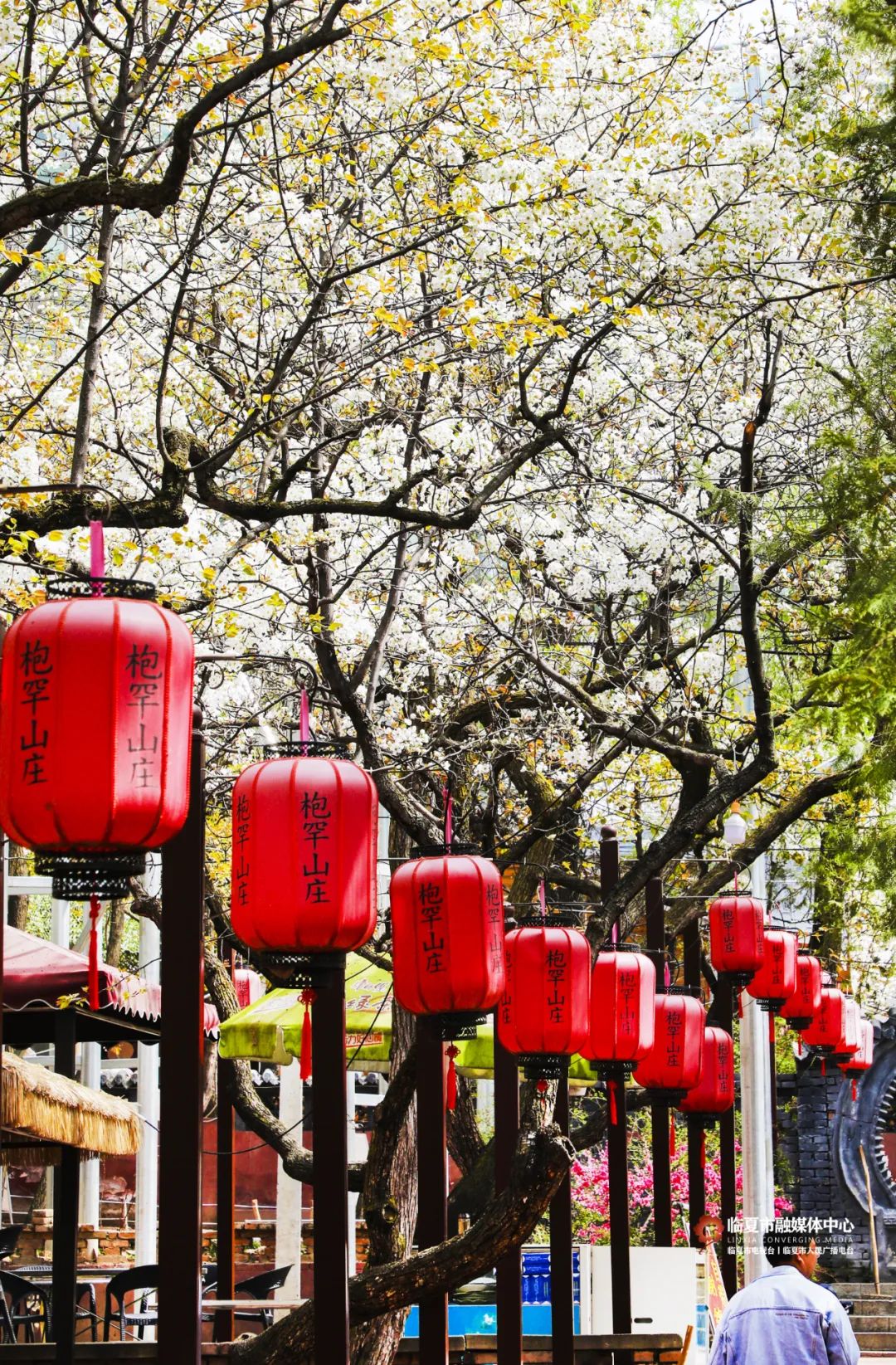 临夏枹罕山庄图片