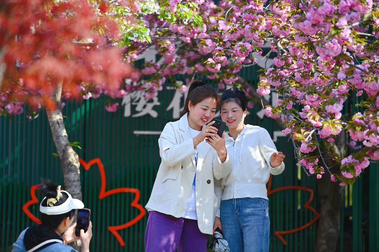 "樱花仙子"玩偶,樱花白茶,樱花香薰,樱花茶具,樱花伞,樱花挂件,樱花