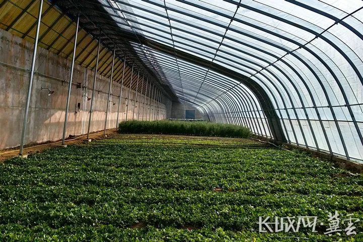 北戴河区:投入约3.43亿元 美了村富了民