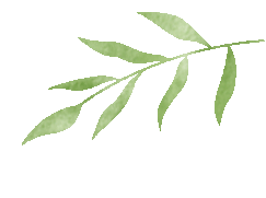 世界读书日丨一千个文人墨客笔下,有一千种海南