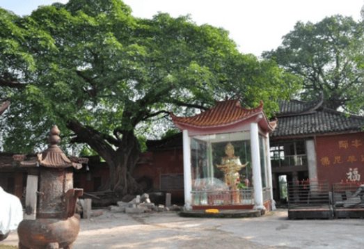 【名镇名村】历史悠久的蓬安县巨龙镇‖费尚全