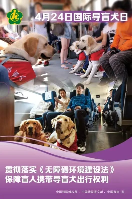【国际导盲犬日】关心盲人,关爱导盲犬