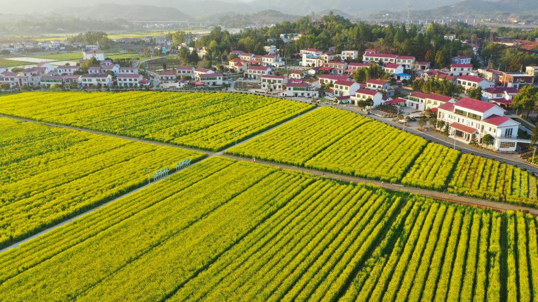 浏阳古港镇:巧用"加减法",聚力打造"梦里乡村"