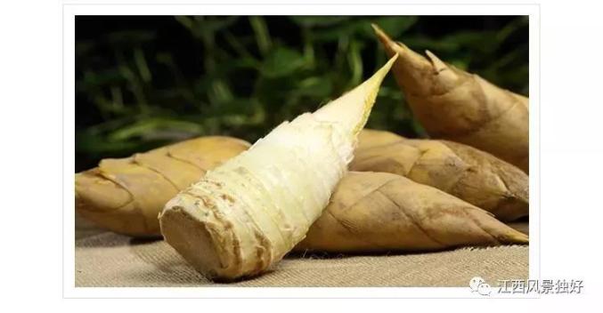 路边的野菜,小心采!