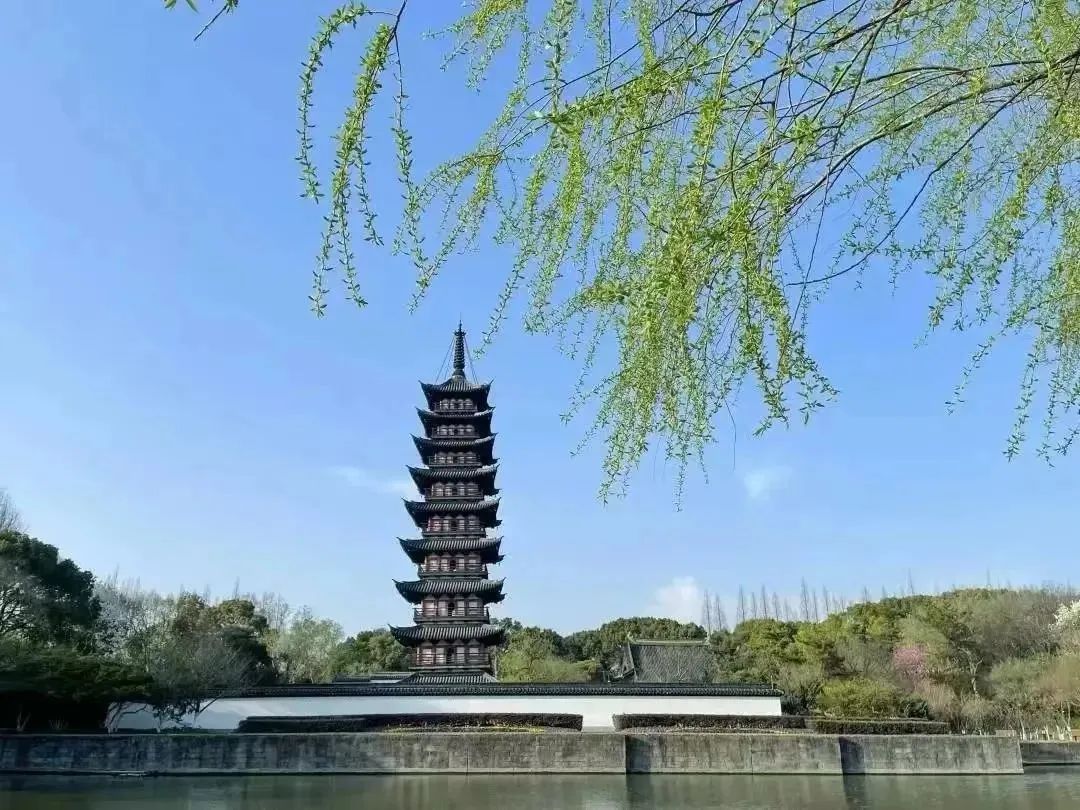 【探索】春日宝藏骑行路线,现在就出发→_澎湃号·政务_澎湃新闻-The Paper