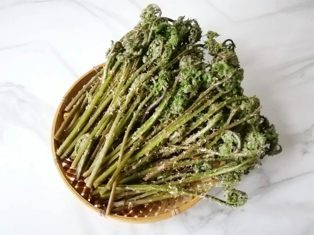 又是一年山菜季,寻味白山山野菜～猴腿