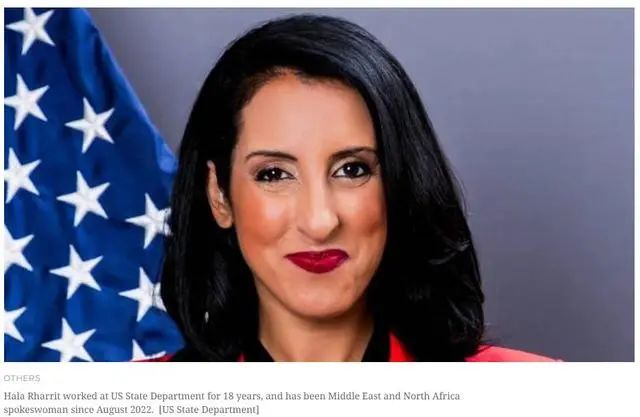 美国务院官方网站的信息显示,拉里特的职务还包括该部门驻迪拜地区