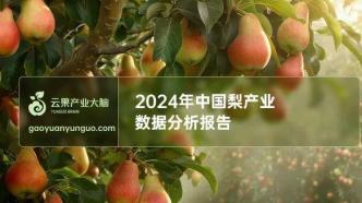 2024年中国梨产业数据分析简报