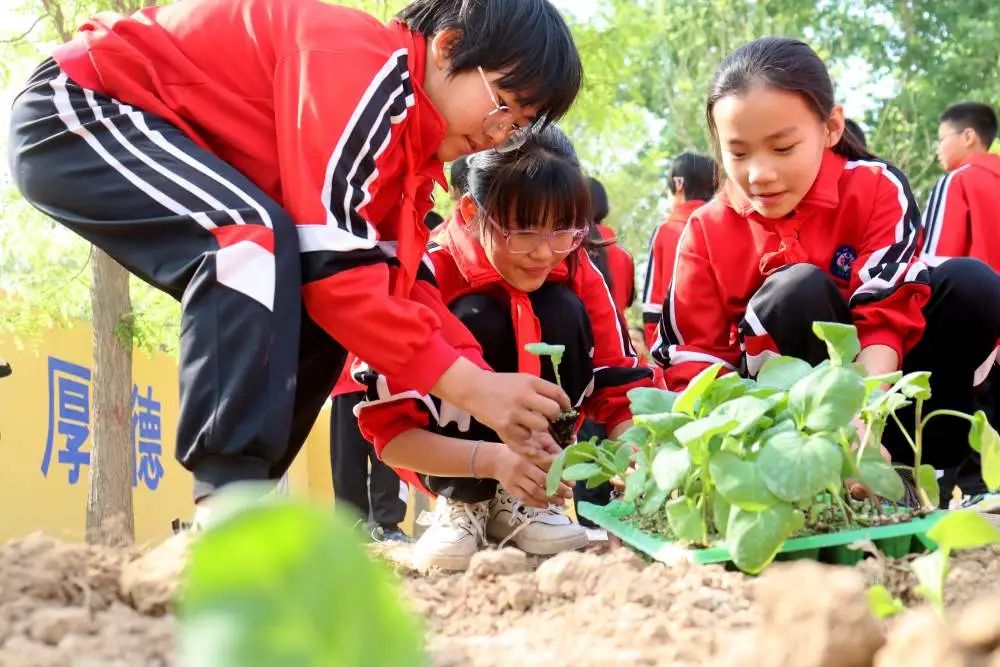 央媒看献县 | 河北献县:农耕教育进校园