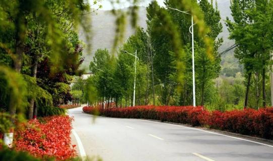 假期将至!快来打卡岱岳区最美旅游公路风景带