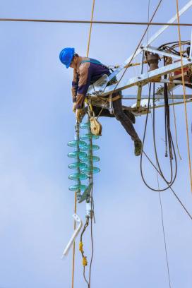 武宣县产业工人,"甜蜜事业"从业者风采摄影比赛结果公布