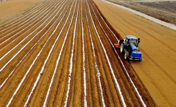 武宣县产业工人,"甜蜜事业"从业者风采摄影比赛结果公布
