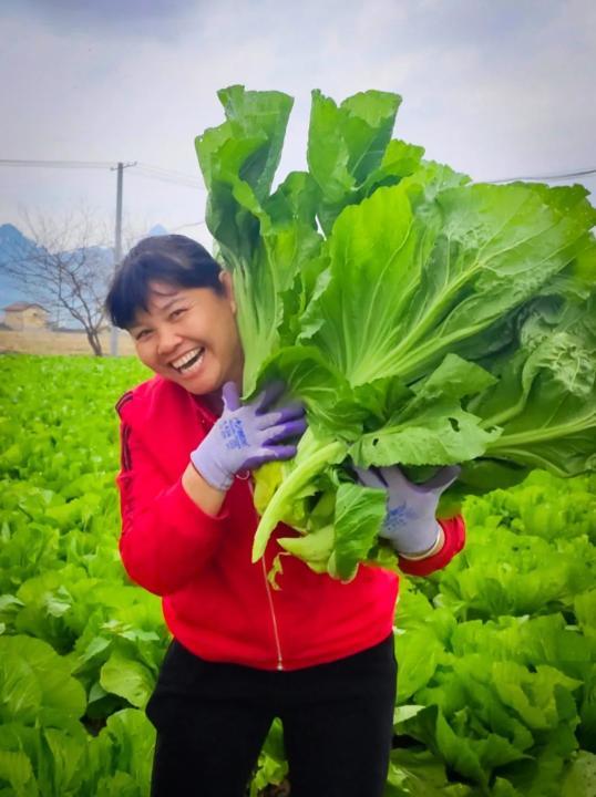 武宣县产业工人,"甜蜜事业"从业者风采摄影比赛结果公布