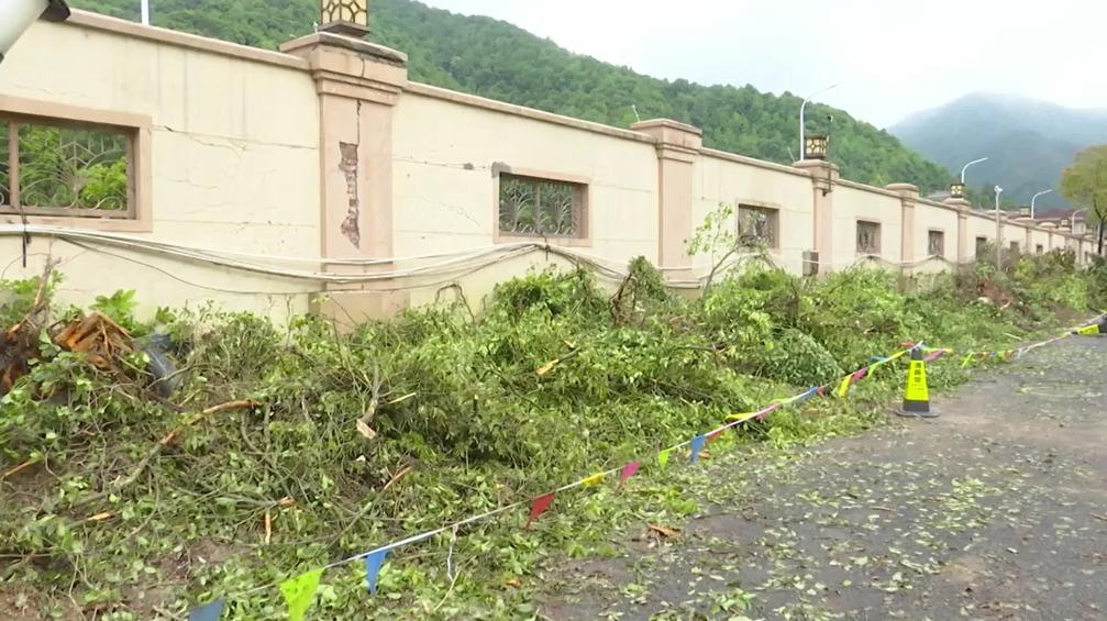 小强在身边丨业主群炸了锅，因为小区里的几十棵树莫名被砍！_澎湃号·政务_澎湃新闻-The Paper