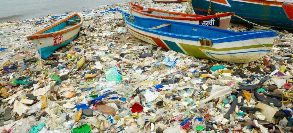 这些塑料污染对大量海洋,河流和陆地生物造成了毁灭性影响.