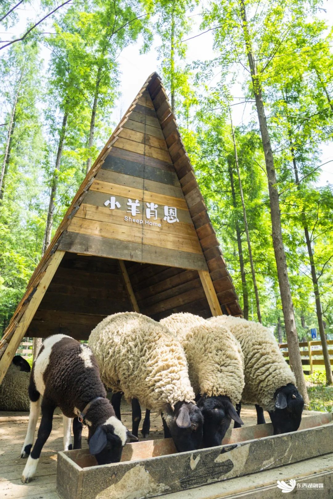 4月1日-5月30日 09:30-17:30,极地动漫节限定演艺"极地动物狂欢大