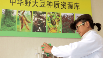 生物多样性科学馆迎来第一位实物展品捐赠者——淮河卫士霍岱珊|野大豆