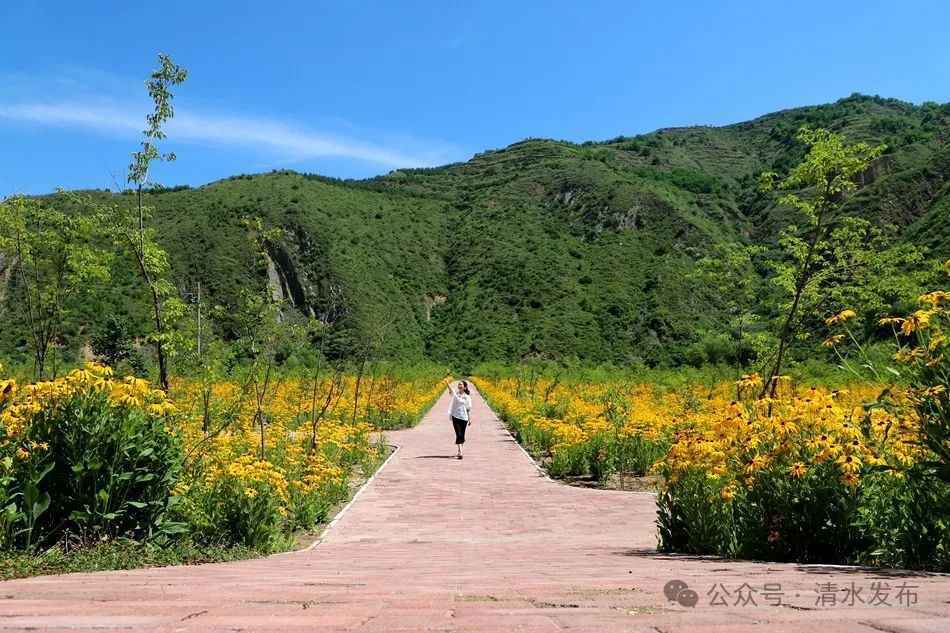 【丁香花开 "香"约清水】来清水赏花旅游"二日游"线路来啦
