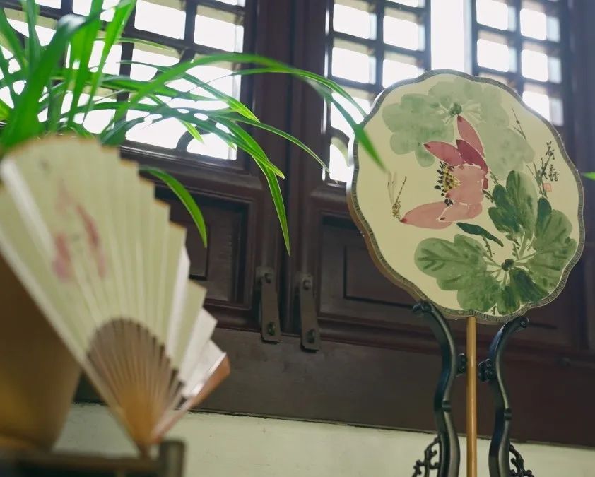 这个“五一”，苏州园林太好玩了！_澎湃号·政务_澎湃新闻-The Paper
