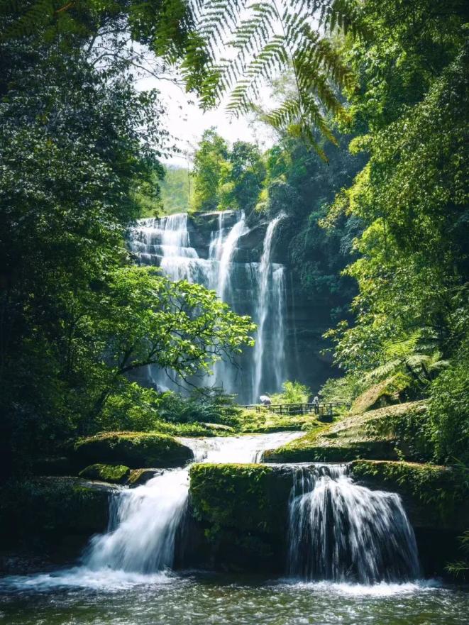 壁纸 风景 旅游 瀑布 山水 桌面 661_881 竖版 竖屏 手机