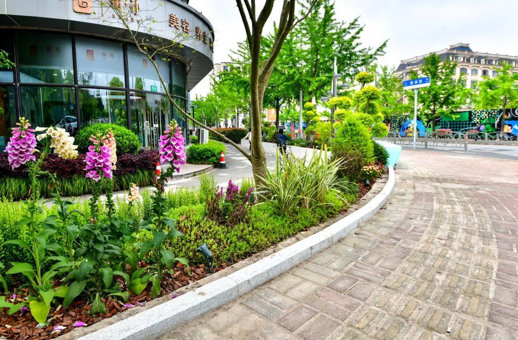 【城市更新】"烟火气"加"书香气",高行镇这个"美丽街区"惊艳蜕变