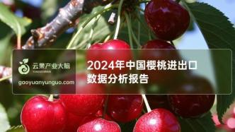 2024年中国樱桃进出口数据分析简报