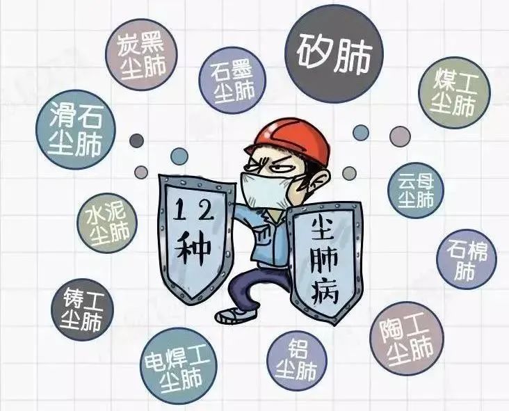 尘肺病是指在职业活动中长期吸入粉尘所致的以肺组织纤维性病变为主的