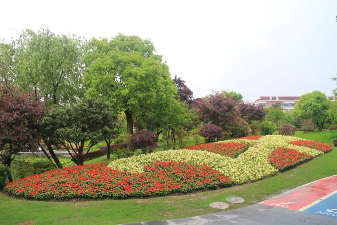 "五一"国际劳动节,普陀区各公园花坛盛装迎客!