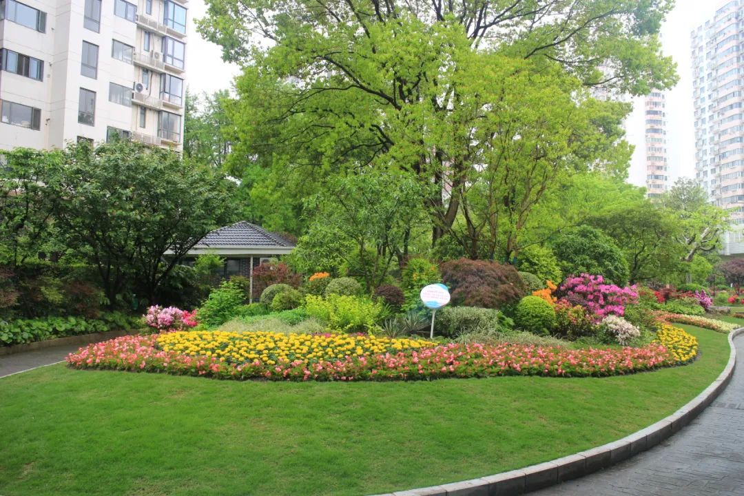 "五一"国际劳动节,普陀区各公园花坛盛装迎客!