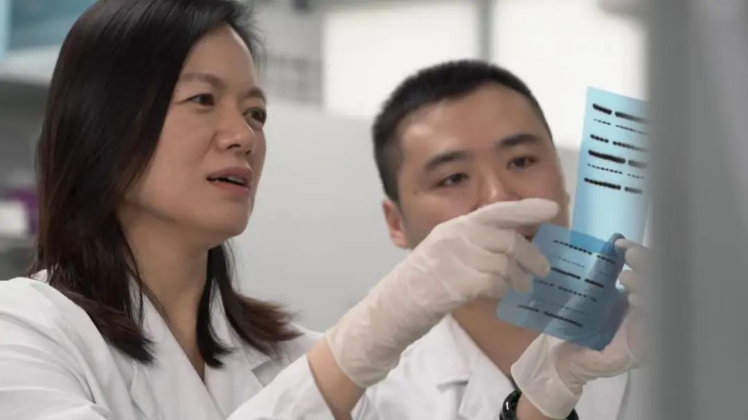 家国情·科技报国绽芳华丨王红霞：追捕最危险的癌细胞与分子信号_澎湃号·政务_澎湃新闻-The Paper