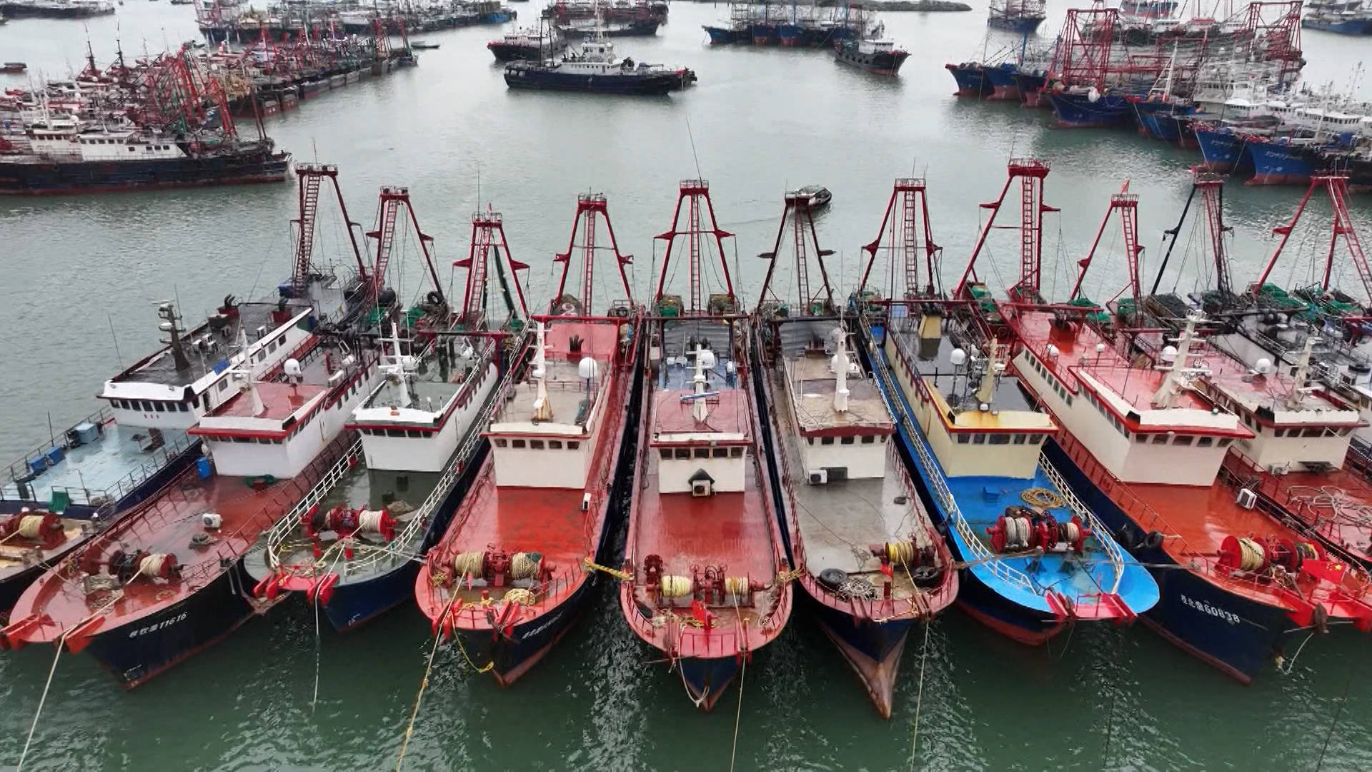 今天中午12时 伏季休渔期开始 在闸坡渔港休渔渔船700