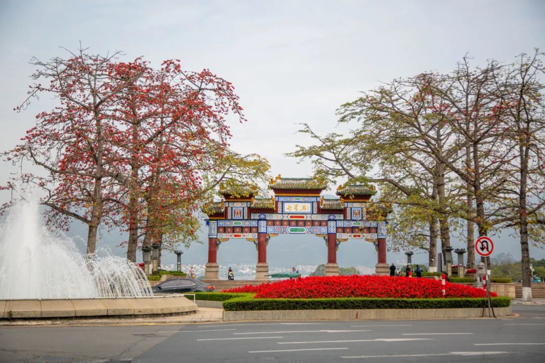 全部免费！肇庆这些景点“五一”假期不能错过！