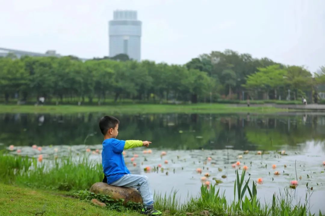 全部免费！肇庆这些景点“五一”假期不能错过！