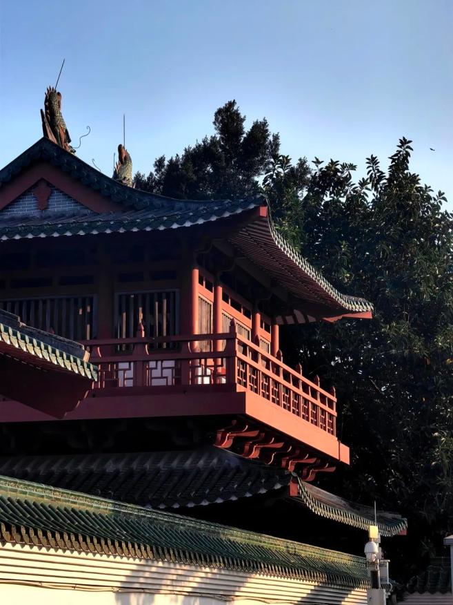 全部免费！肇庆这些景点“五一”假期不能错过！