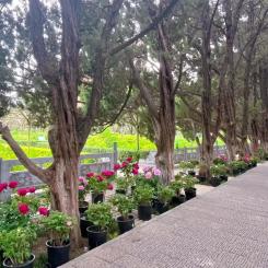 "五一"去哪里玩?来王城公园共享美好时光!