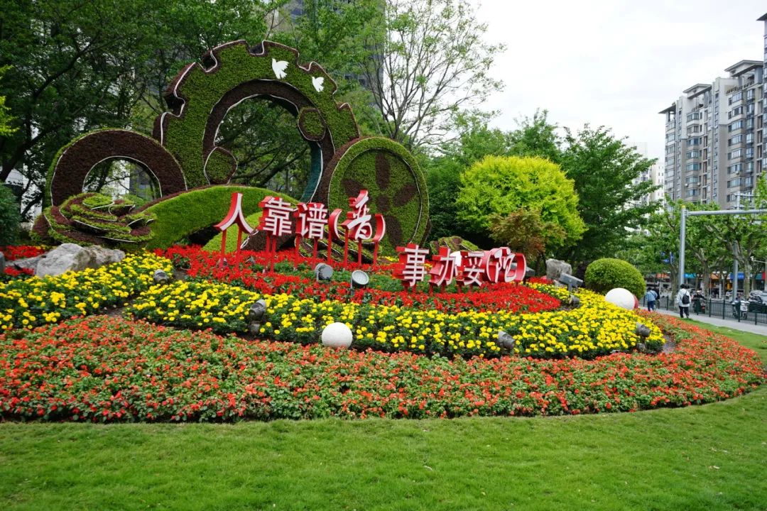 绿地花卉,景观花箱遍布普陀,点缀城区之美