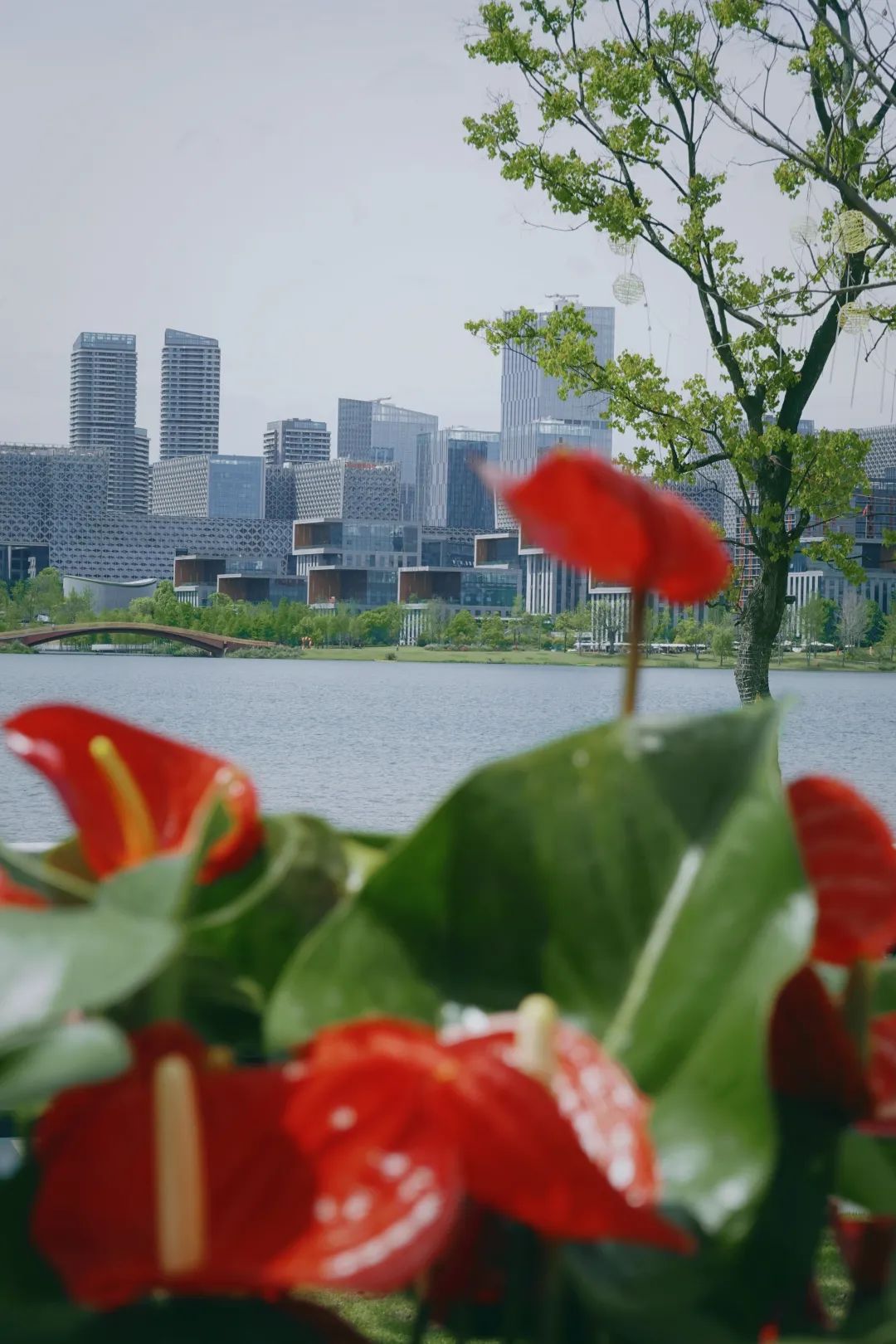 兴隆湖,一整天都玩不够