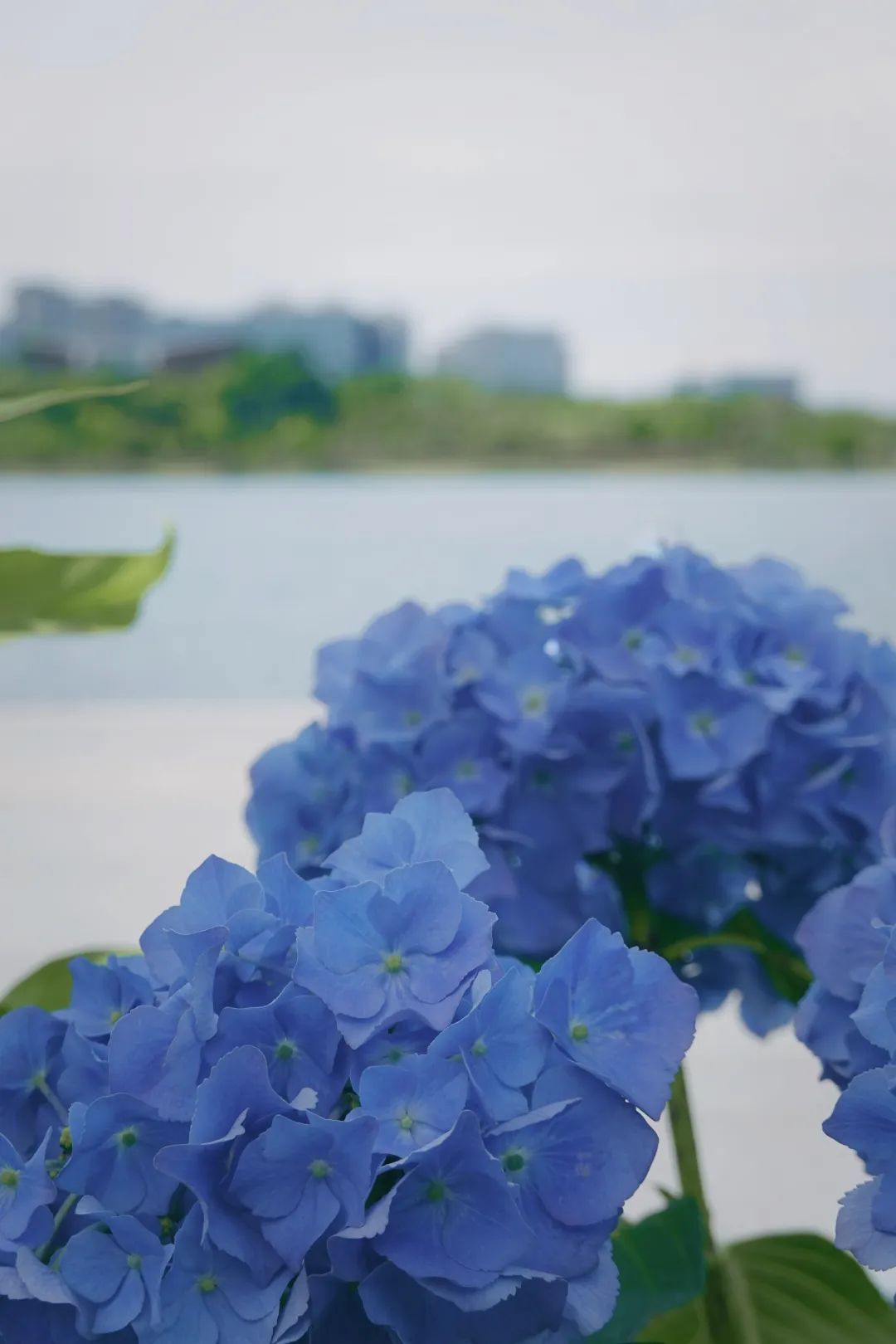 兴隆湖,一整天都玩不够