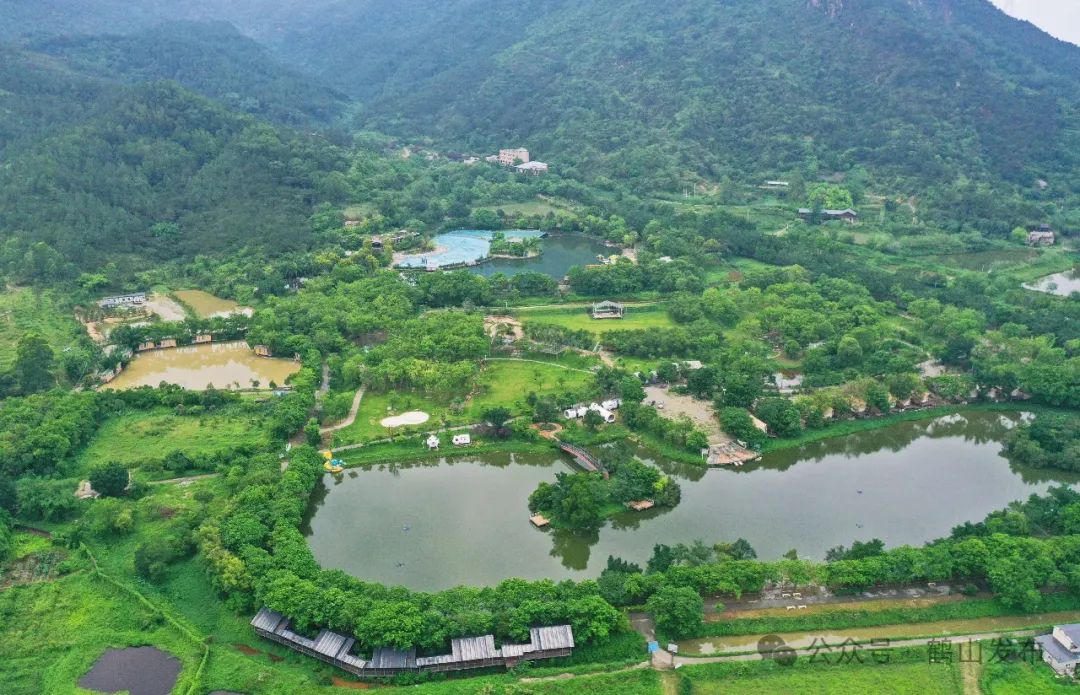 江门鹤山95图片